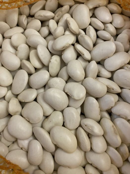 Fasola Jaś karłowy 5kg