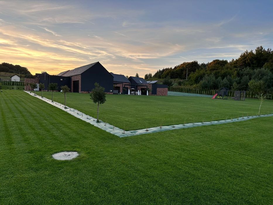 Usługi Ogrodnicze. Rzeszów .Trawa z rolki , siana. Wertykulacja.