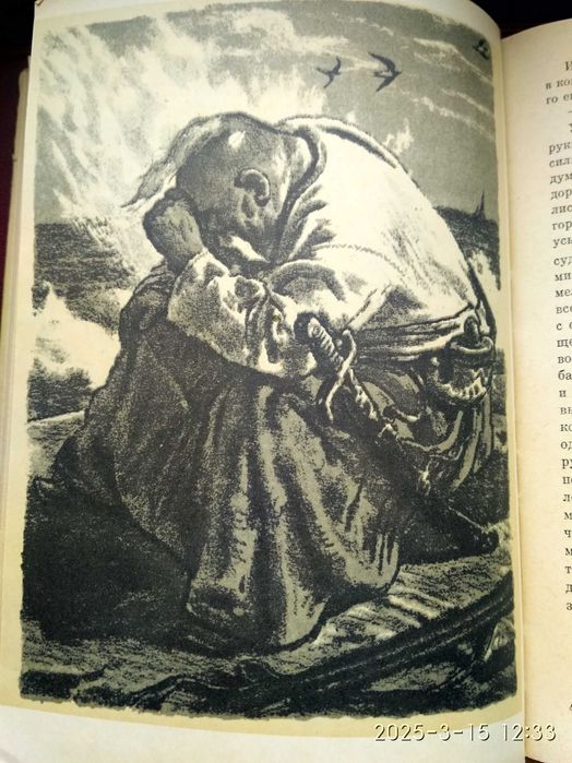 Н.В.Гоголь. Тарас Бульба.