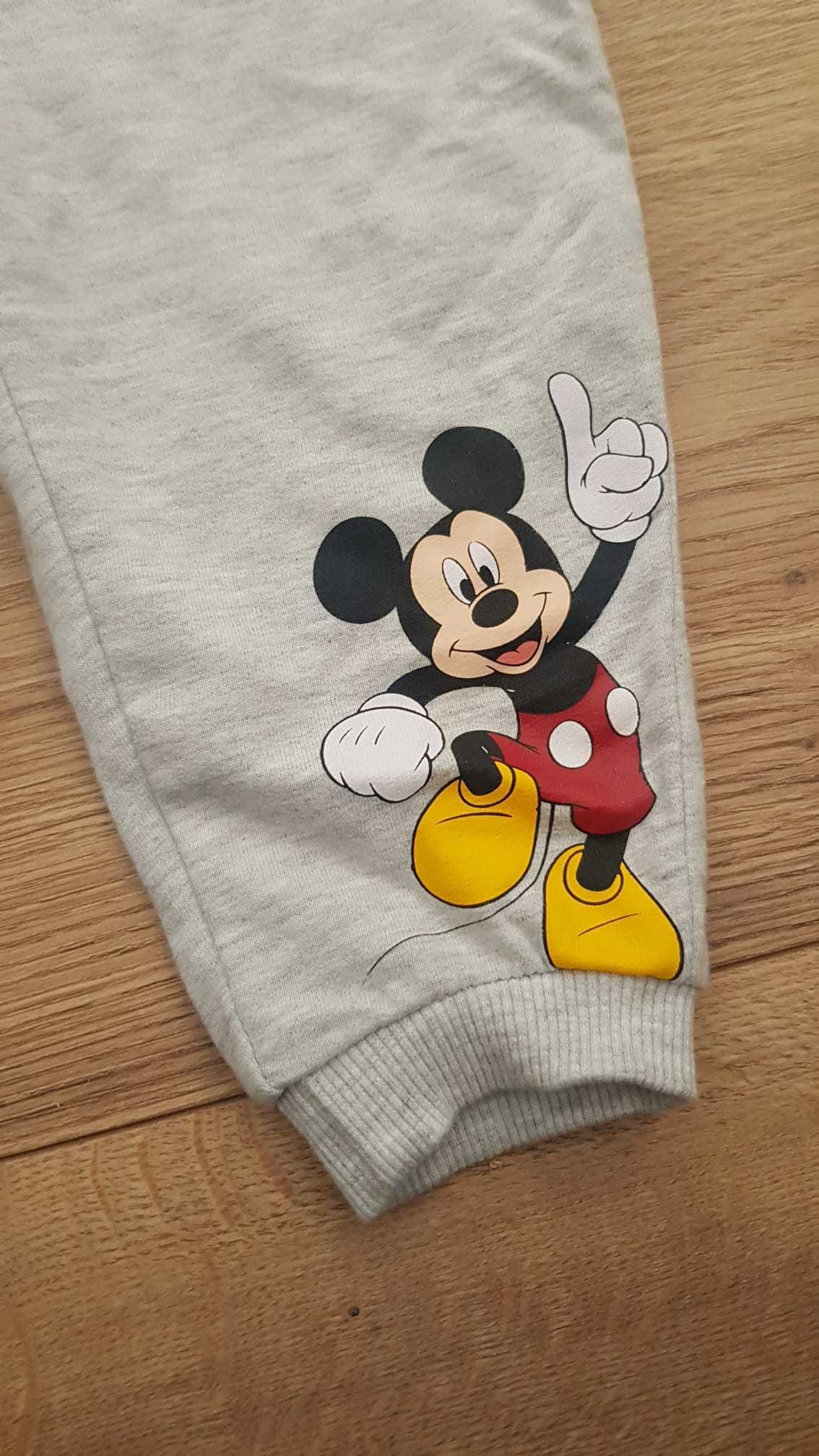 Dresik r80 disney