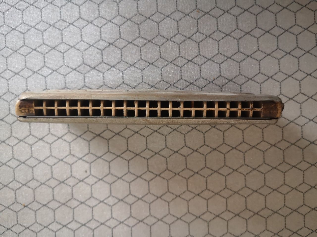 Harmonijka Hohner Echo