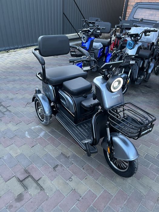 Трицикл Forte Family P1000