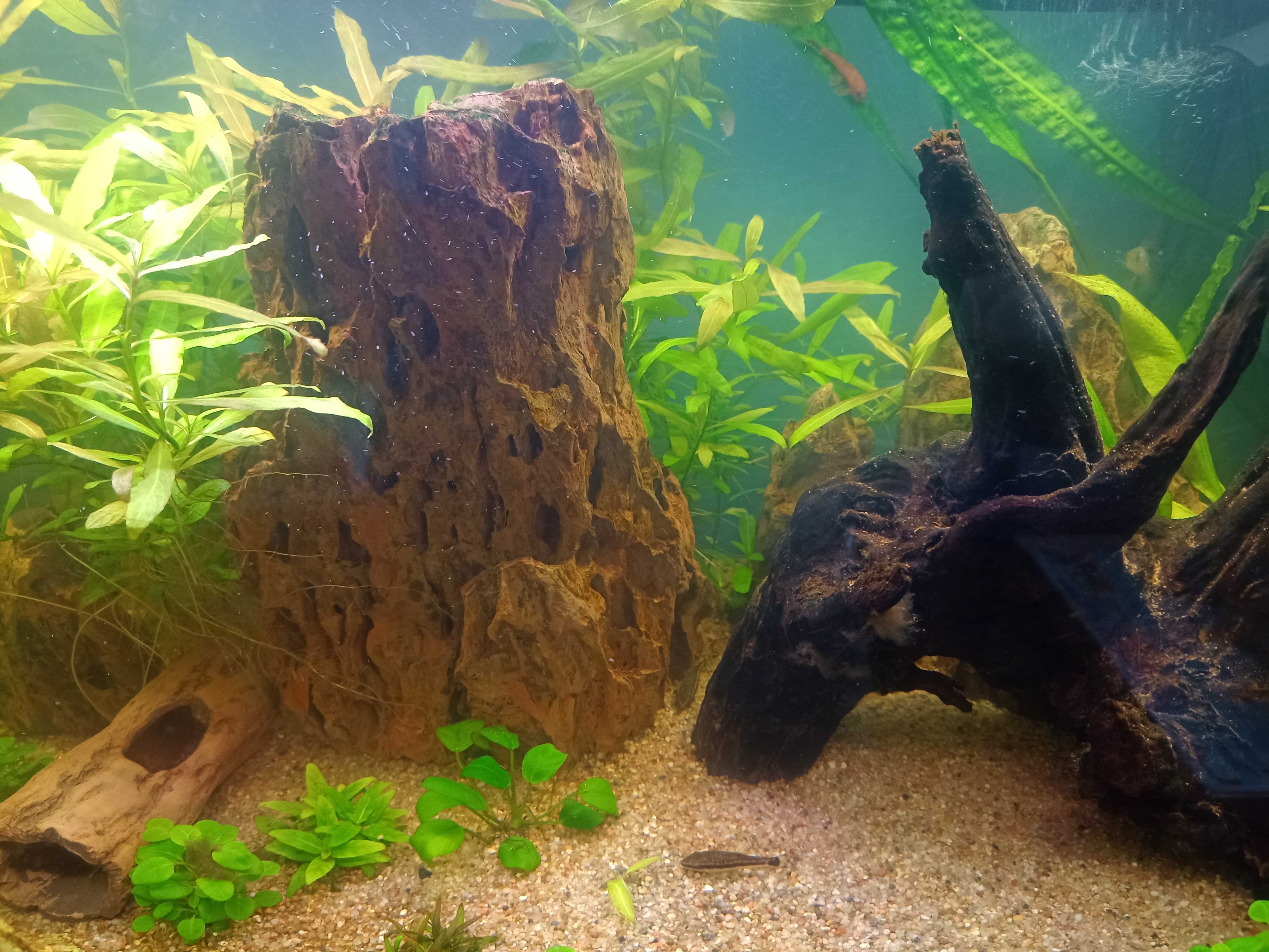 Dragon stone i żwirek do akwarium ok 60 L