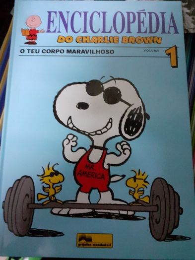 Livros Enciclopédia do Charlie Brown