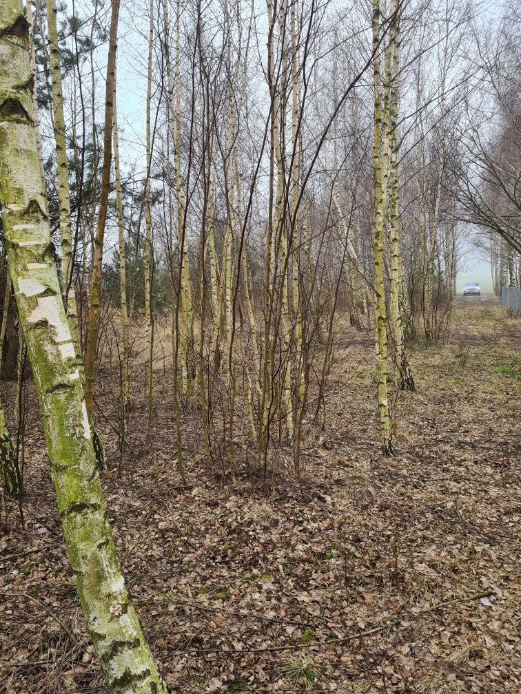 Sprzedam działkę blisko zalewu Domaniowskiego.