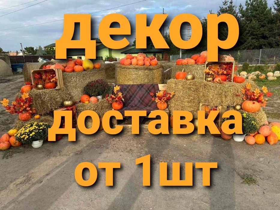 ДЕКОР. Солома для декора в тюках (клевер и др виды), доставка от 1шт.