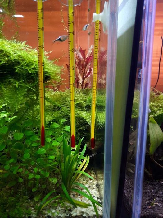 Szklany Termometr Akwariowy Jeneca AT03 Cienki,Wodoszczelny Przyssawka