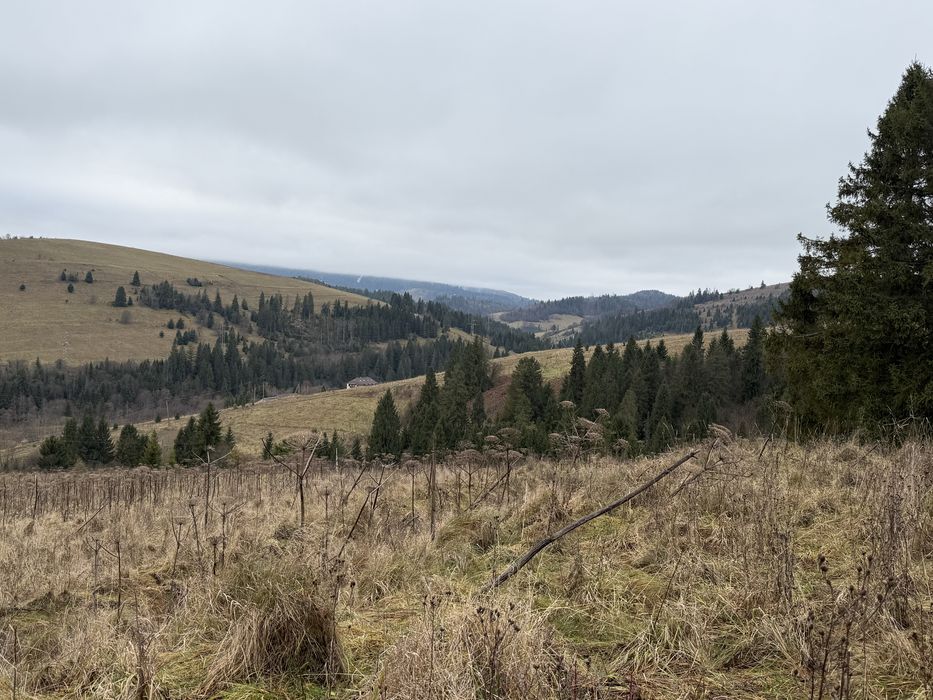Продається ділянка осг в с. Пилипець