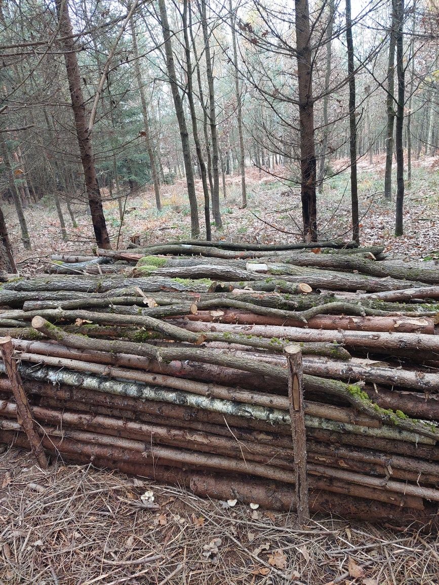 Drzewo opałowe mieszane