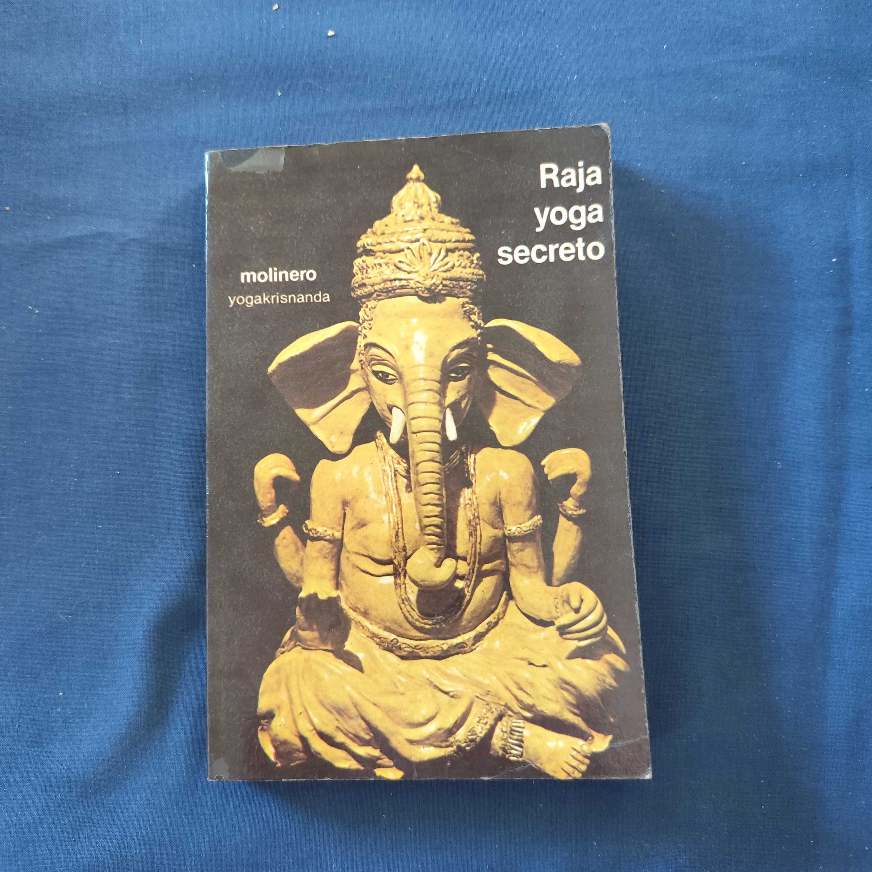 Molinero Yogakrisnanda - Raja yoga secreto