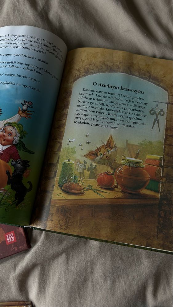 Książki Śpiąca Królewna, Baśń o dwunastu miesiącach, Plastusiowy