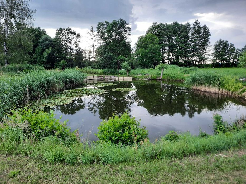 Dzialka budowlana nad Stawem w Gm Kobya Gora