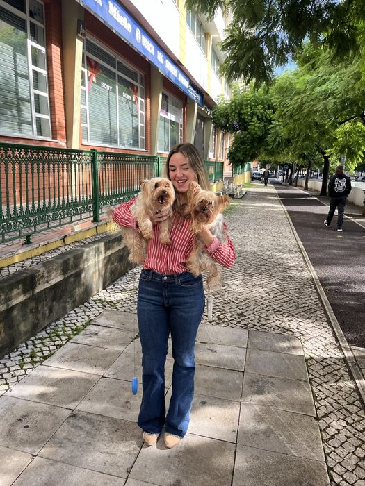 Pet Sitter e Dog Walker/Estadias/Passeios (Lisboa)