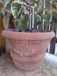 Vaso de Barro Toscano – Feito em Itália – 42x50cm