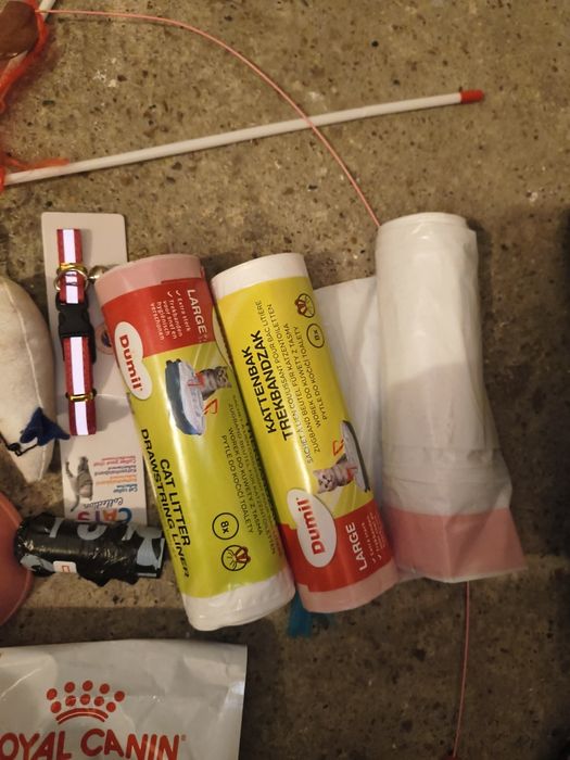 Wyposażenie wyprawka akcesoria dla kociaka