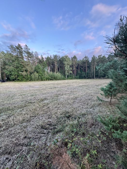 Na sprzedaż: działki budowlane po 1500m2- Bieliny gm. Pionki