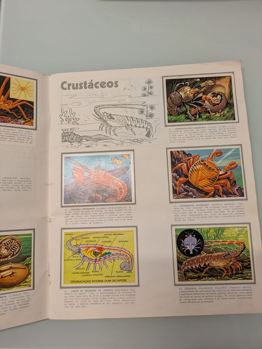 Cadernetas antigas do Sandokan e panorama zoológico