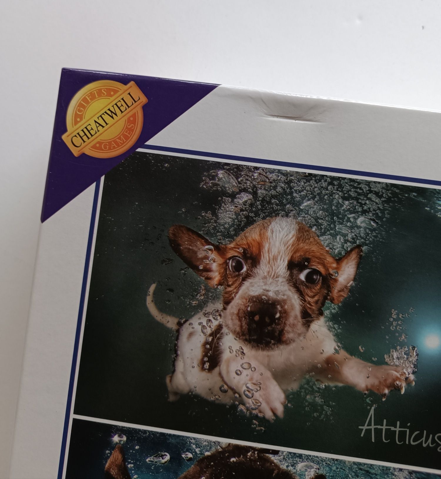 Puzzle 1000 peças Underwater dogs