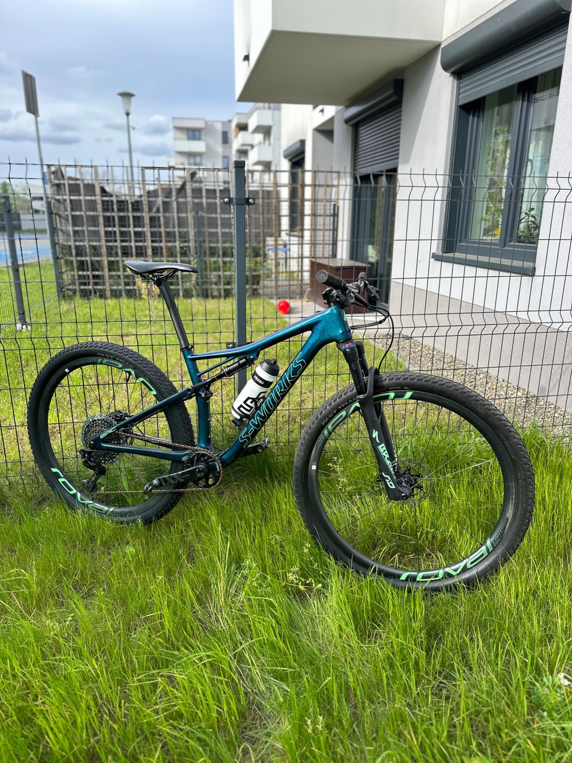 Specialized S-WORKS Epic Chameleon 2019 Special Custom Factory