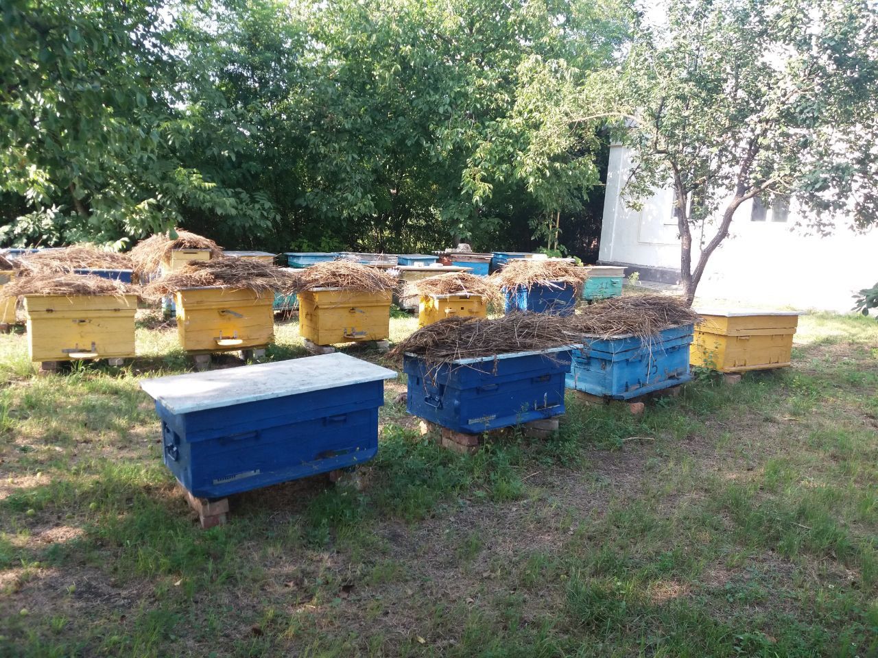 Продам вулики для бджіл.
