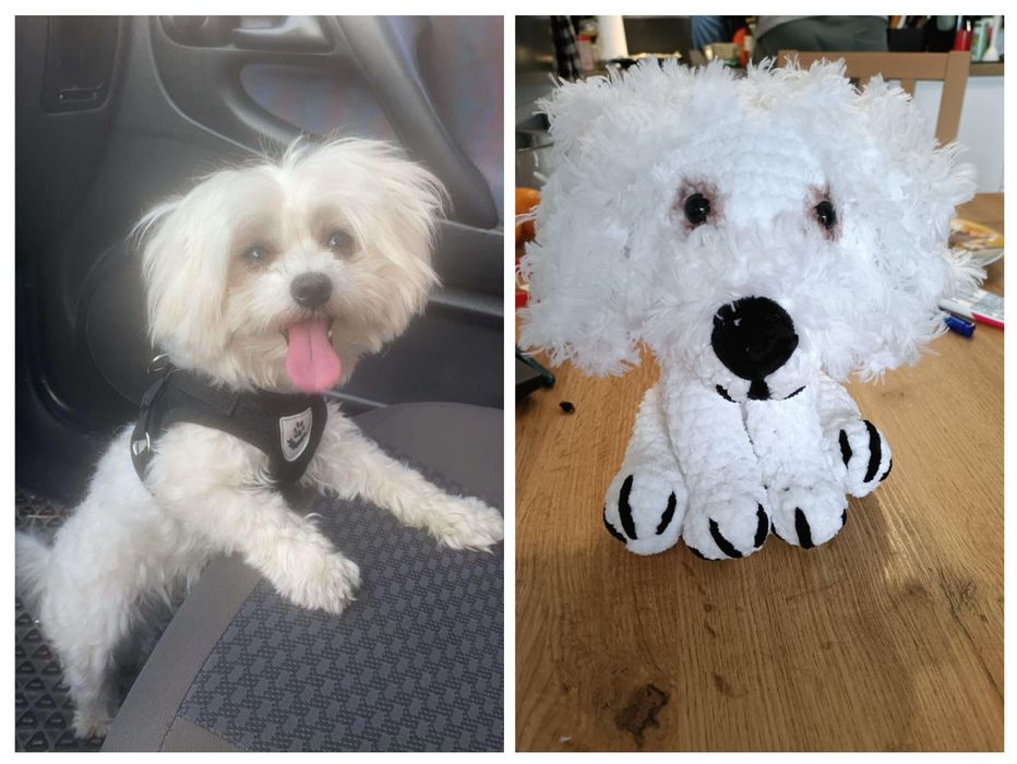 Pies szydełko handmade