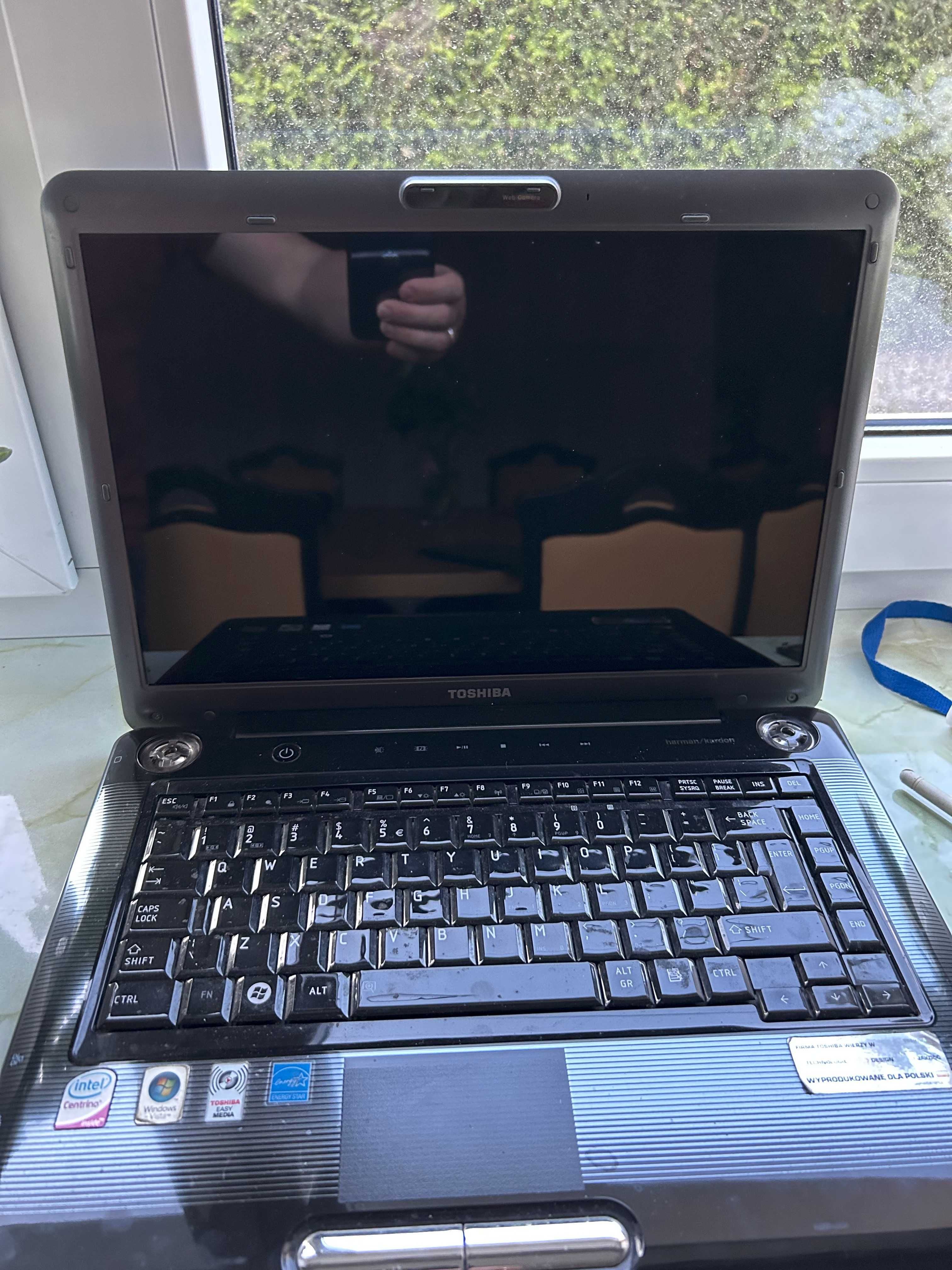 Toshiba Satellite A300-1EG PSAG4E-03201RPL uszkodzony