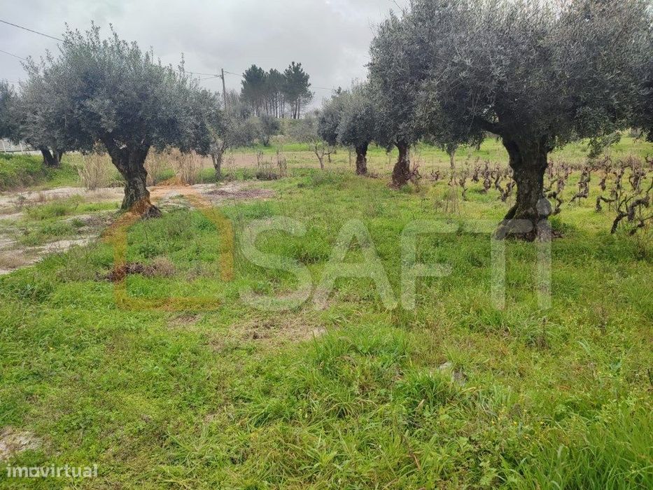 Terreno para Construção de Moradia em Ourem