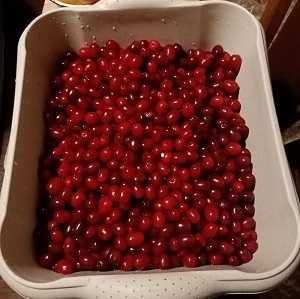 owoce derenia jadalnego mrożone dereń