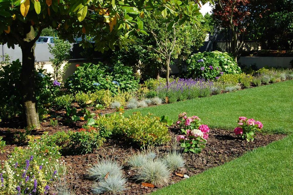 Manutenção de Jardins em Setúbal – Serviço Profissional e Confiável