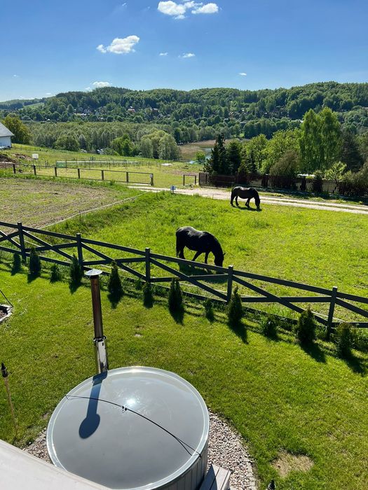Domek na Kaszubach z balią i sauną nad jeziorem