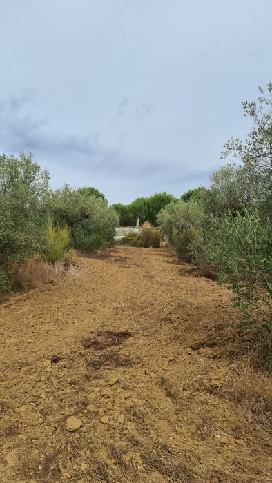 Terreno em valhascos Sardoal