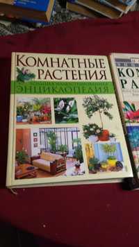 Энциклопедии комнатных растений ( орхидеи . бансаи и многое другое )