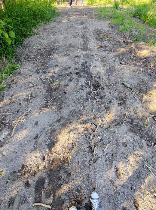 Sprzedam działkę budowlaną - 3747 m2 Ruda Śląska - Halemba