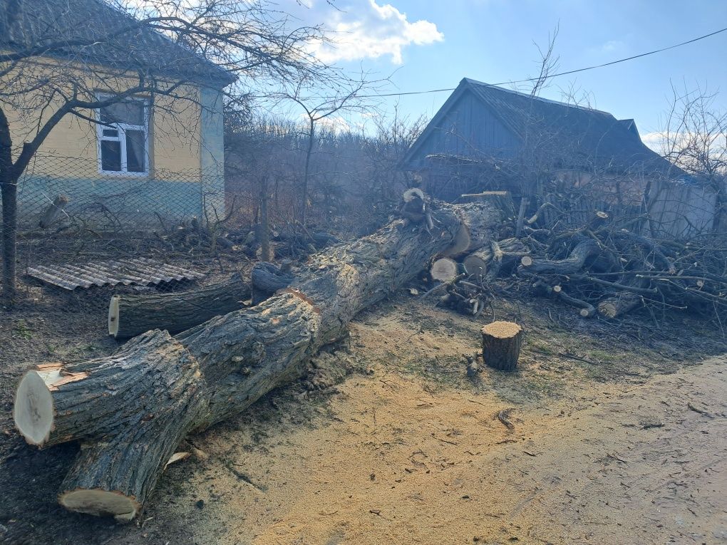 Зріз дерев,покол дров,косіння трави.