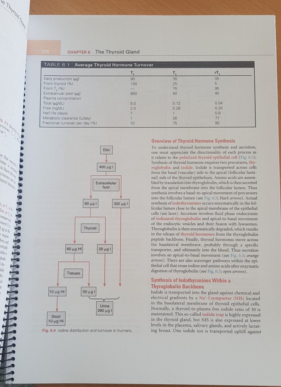 Mosby Physiology Endocrine and Reproductive, Renal e Cardiovascular