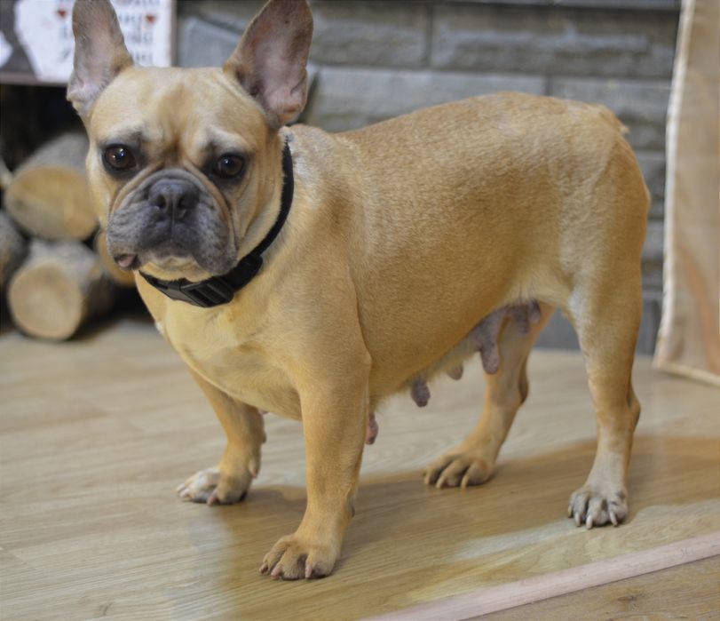 Найдобріша дівчинка