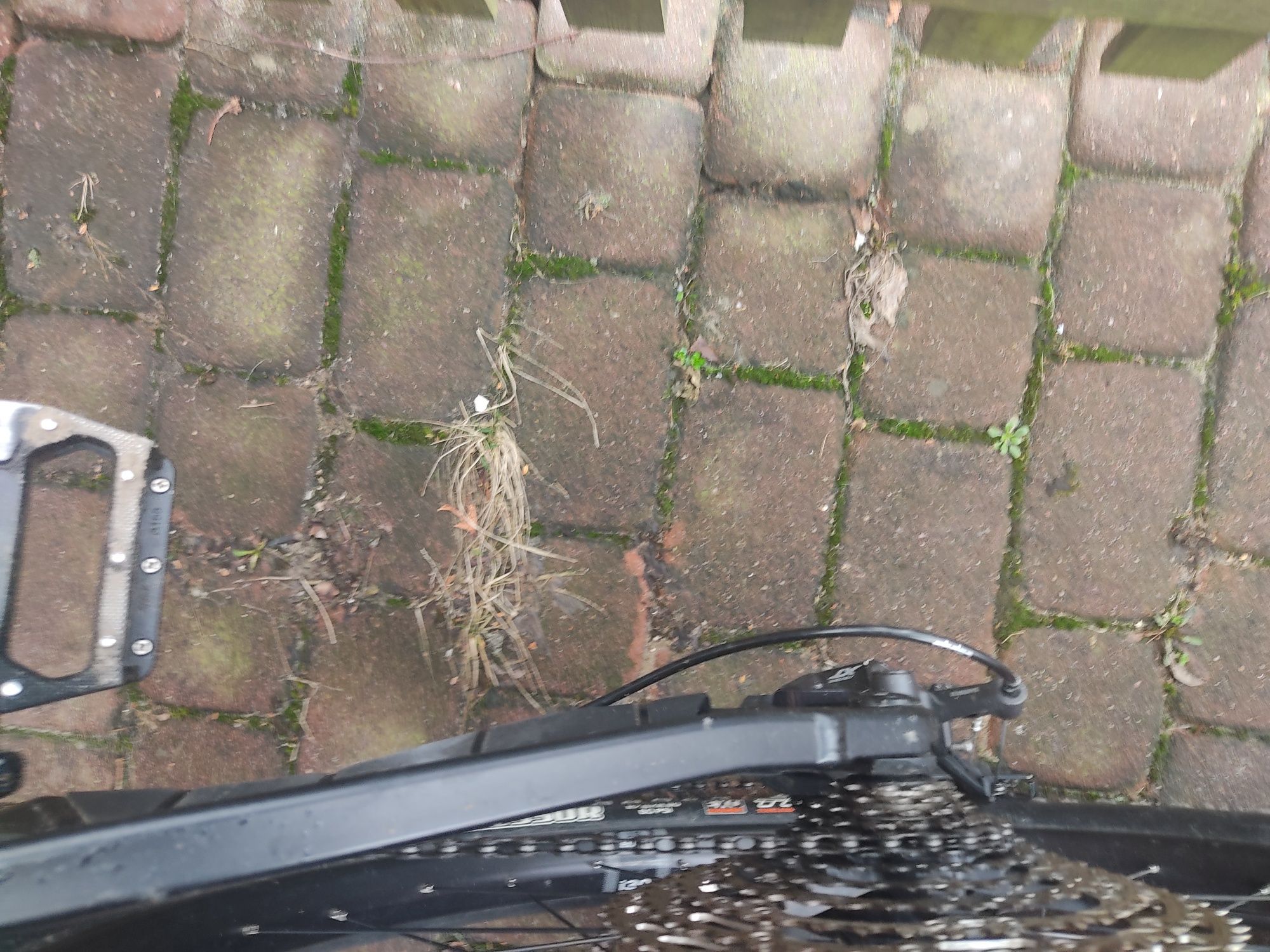 Rower MTB full Ghost riot trial al essential