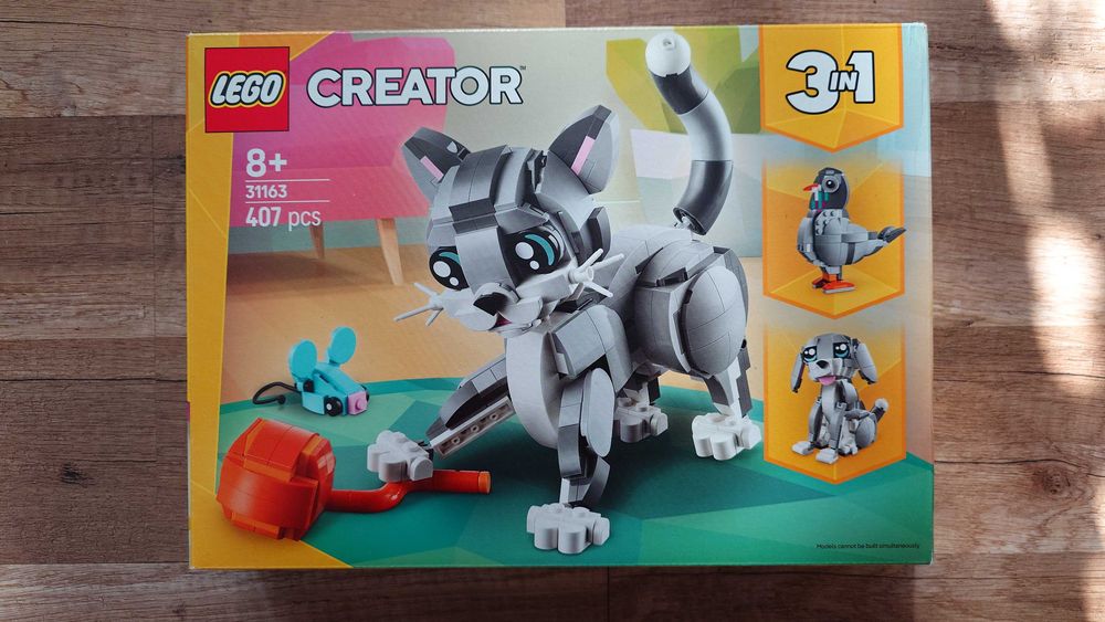 Puste pudełko Lego Creator 3 w 1 31163 Psotny kot