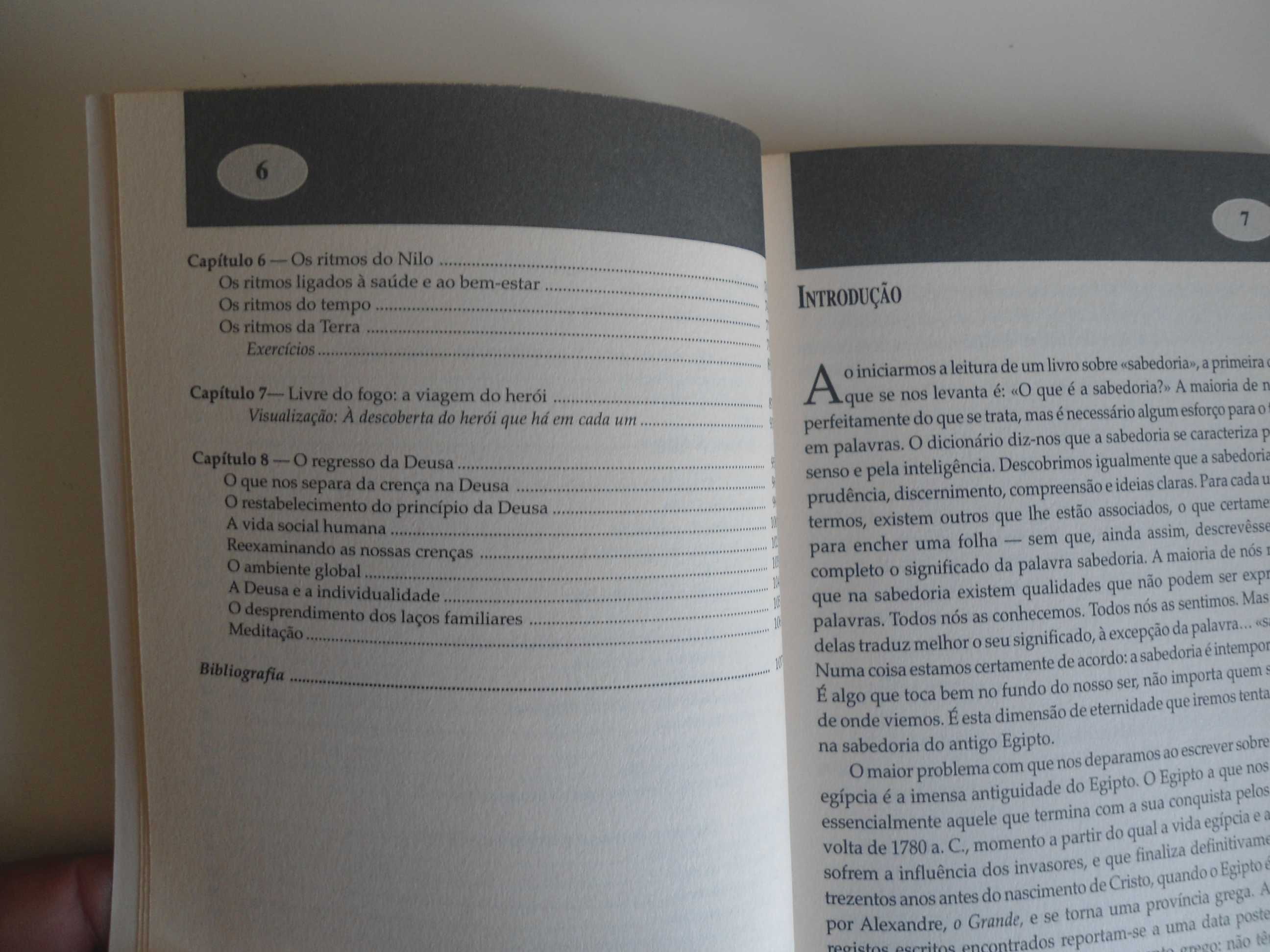 A Sabedoria dos Egípcios por Ron Bonewitz