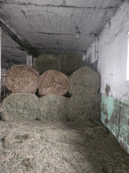 Siano  słoma sianokiszonka bele baloty
