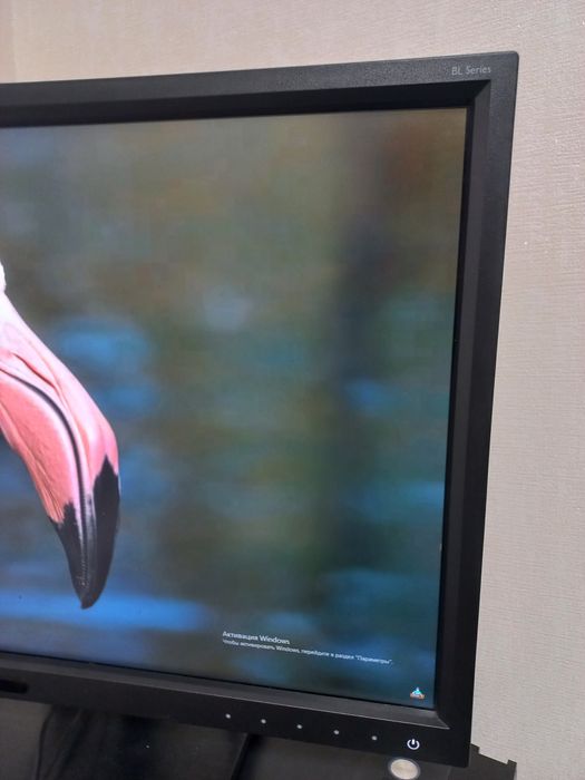 BenQ BL2420PT монітор 2560x1440