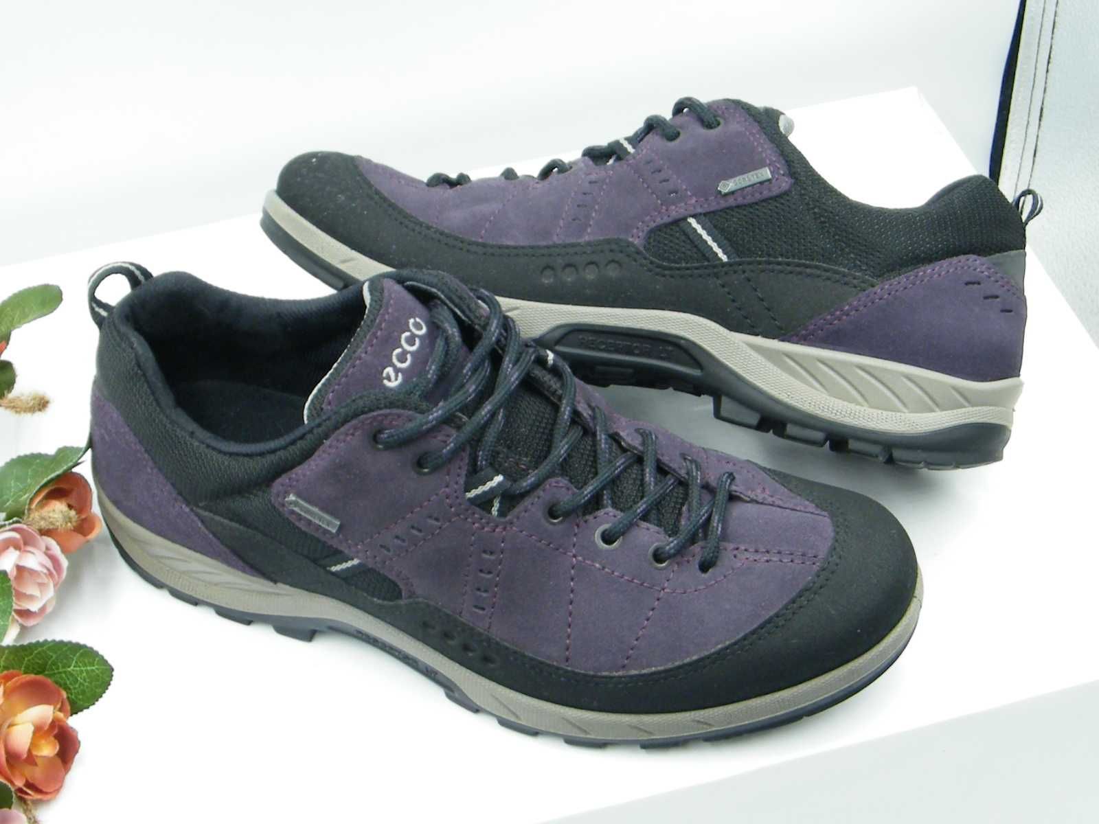 Ecco Receptor Gore Tex