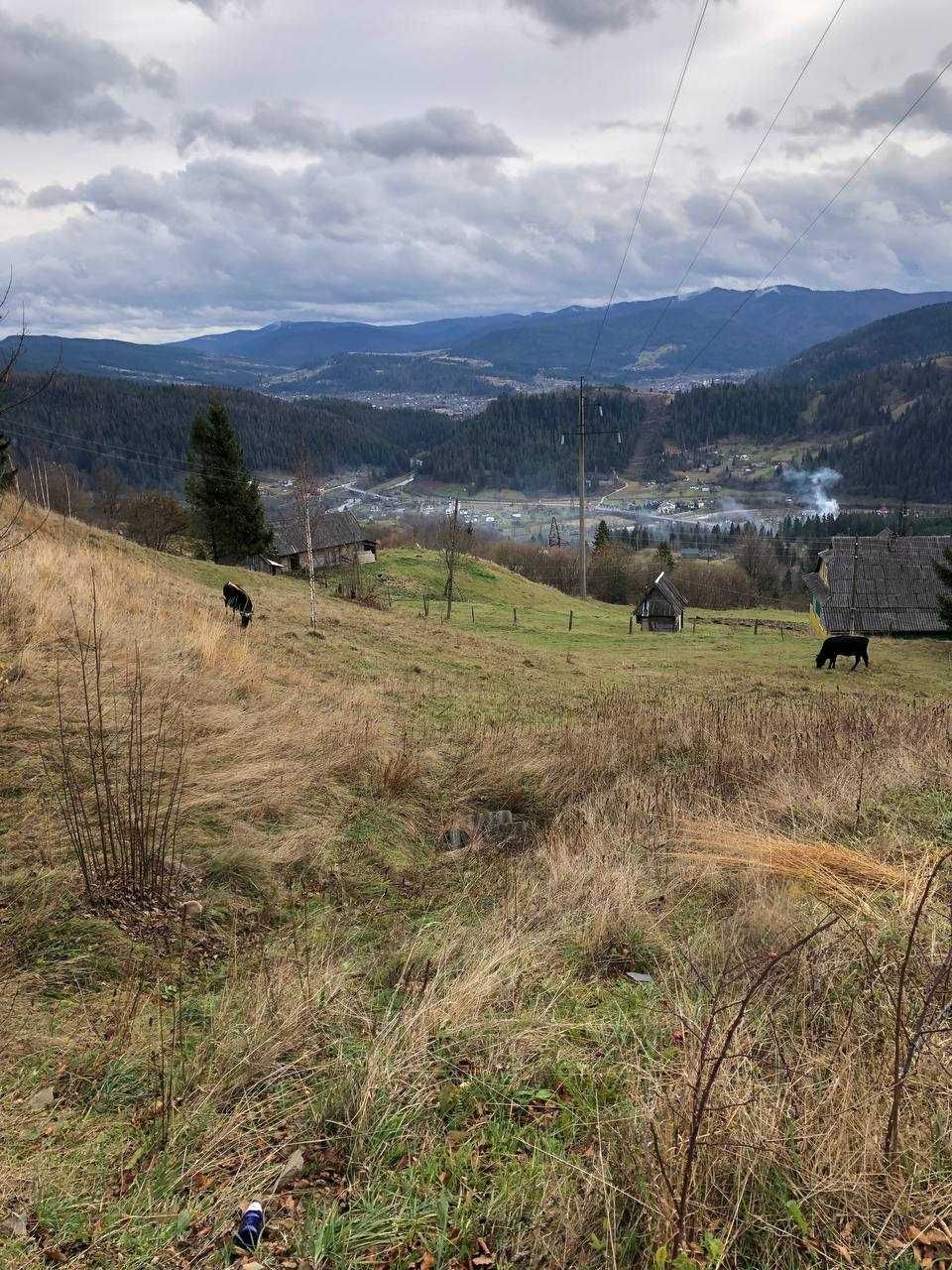 Земельна ділянка в Яремче