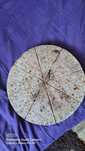 Kamień do pizzy 25cm granic 3cm