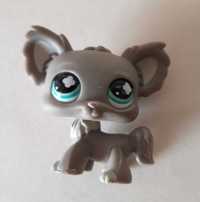 LPS #836 szary pies Chihuahua 2007 Littlest pet shop