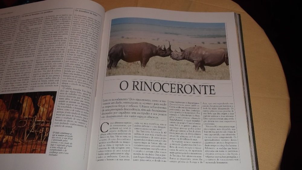 livro Vida Salvagem Animais da Savana