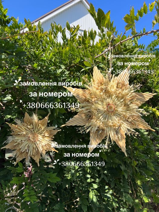Кінь, вишиванка, дідух, зірка, кінь