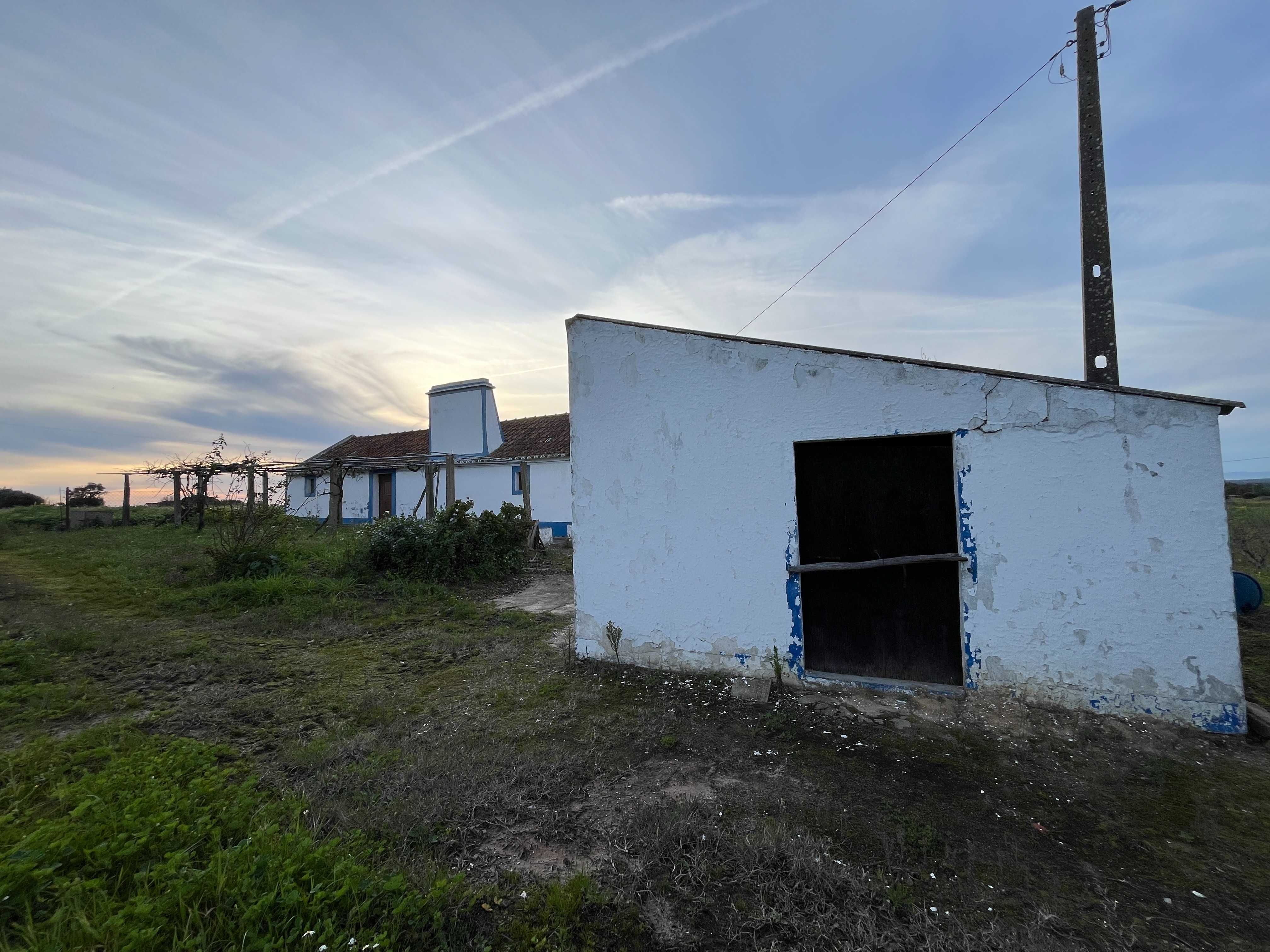 Terreno para venda 8713m2 em Pinheirinhos, Melides