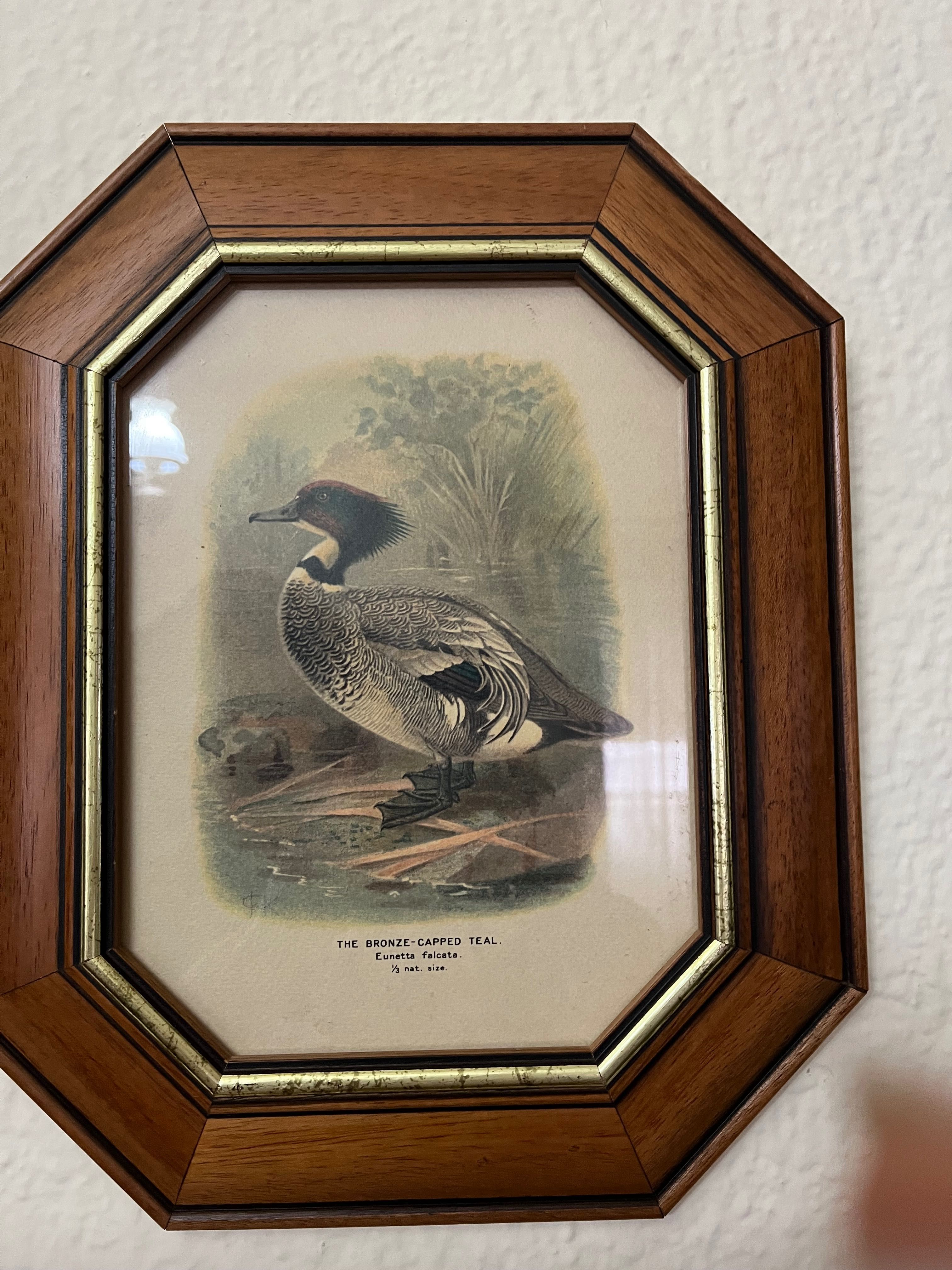 Quadros com moldura de madeira