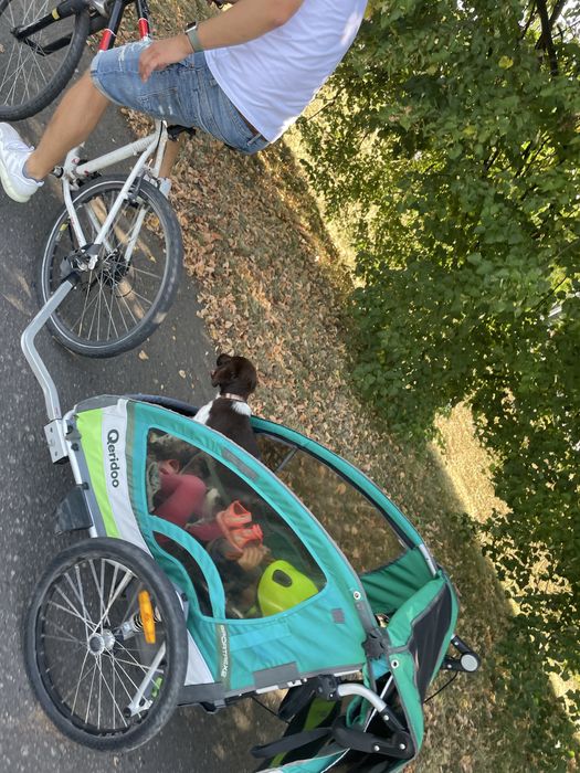 Przyczepka rowerowa queridoo